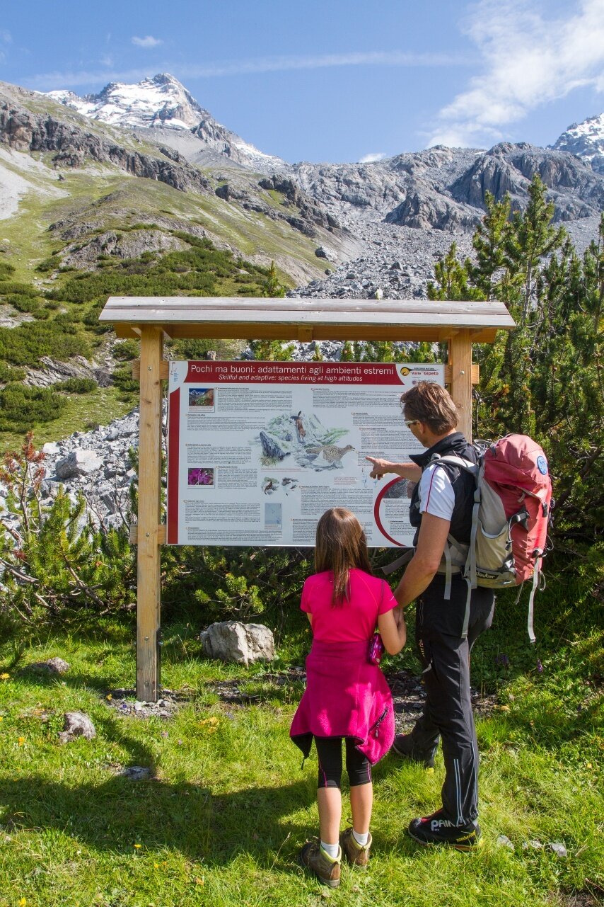 Img2 612015603 Default Variant