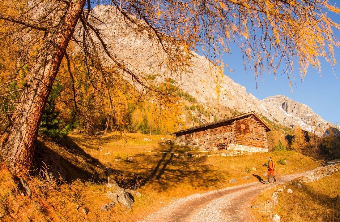 Img2 612015605 Default Variant