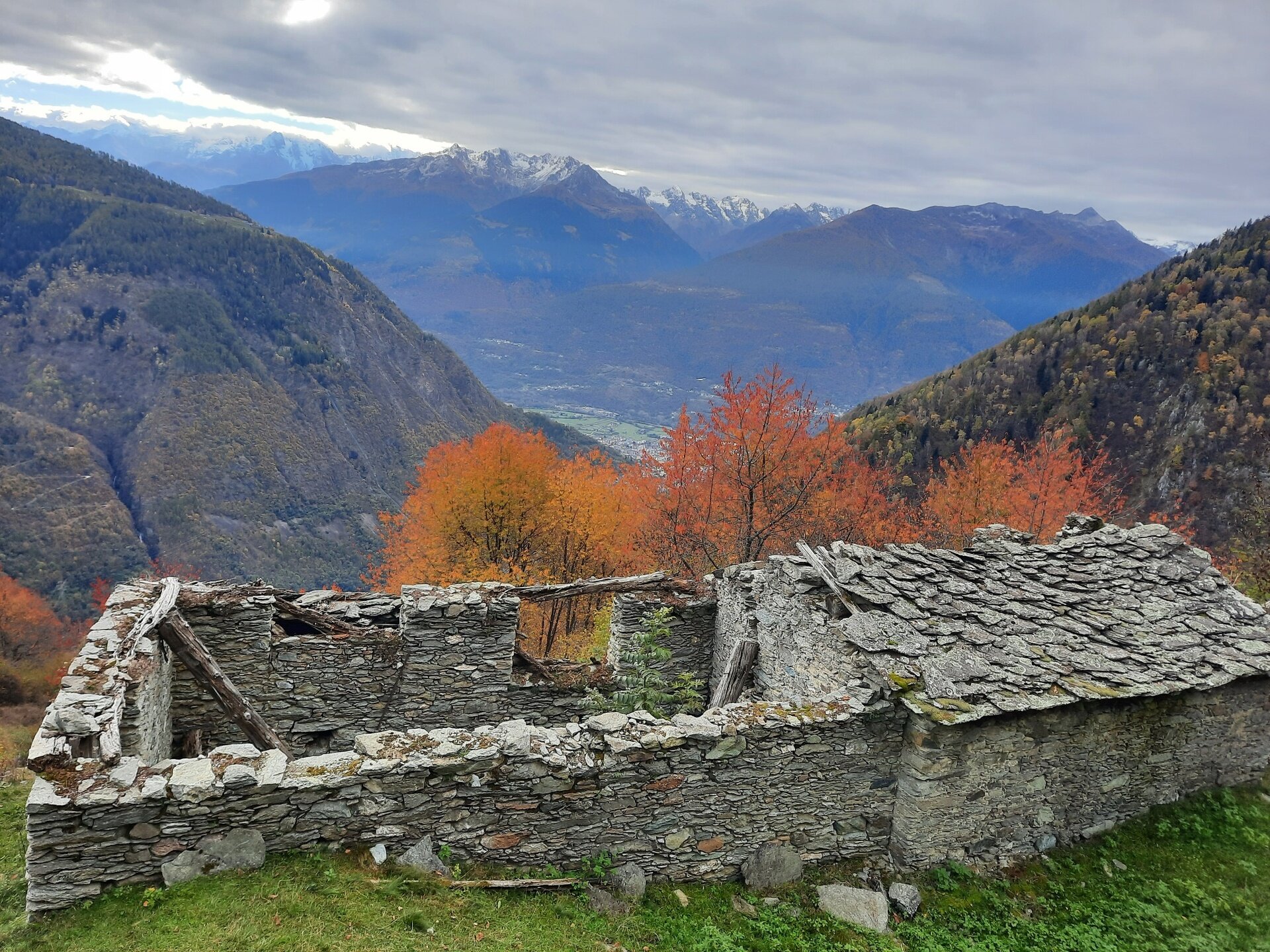 Img2 621909222 Default Variant