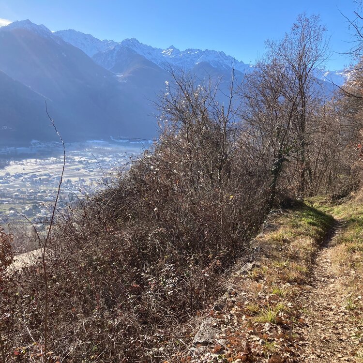 La Strada Vegia De La Bratta 811135237