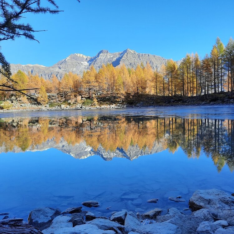 The magic of Lake Lagazzuolo in autumn