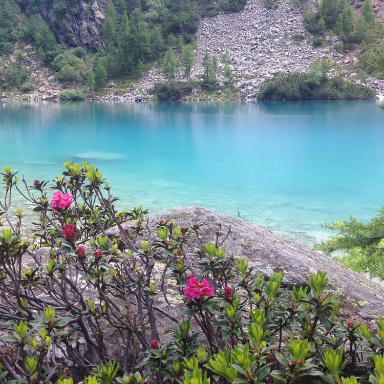 Lago e Alpe Lagazzuolo