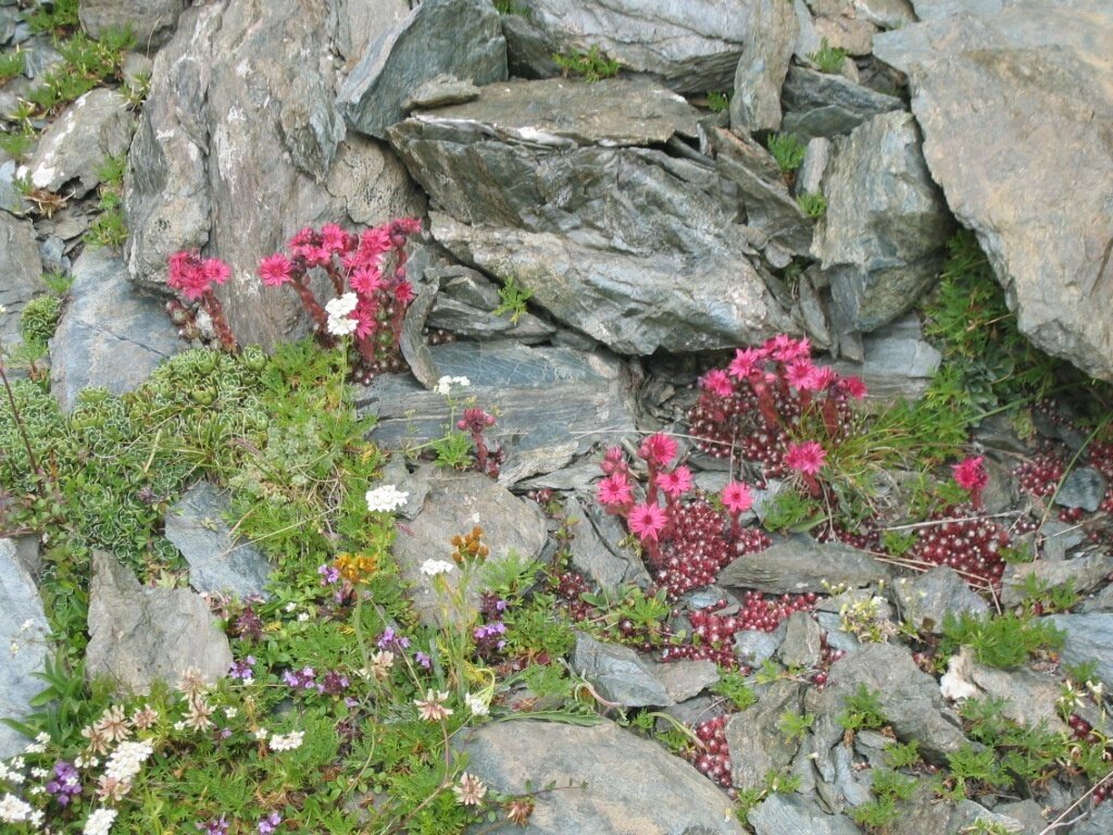 Lago Nero