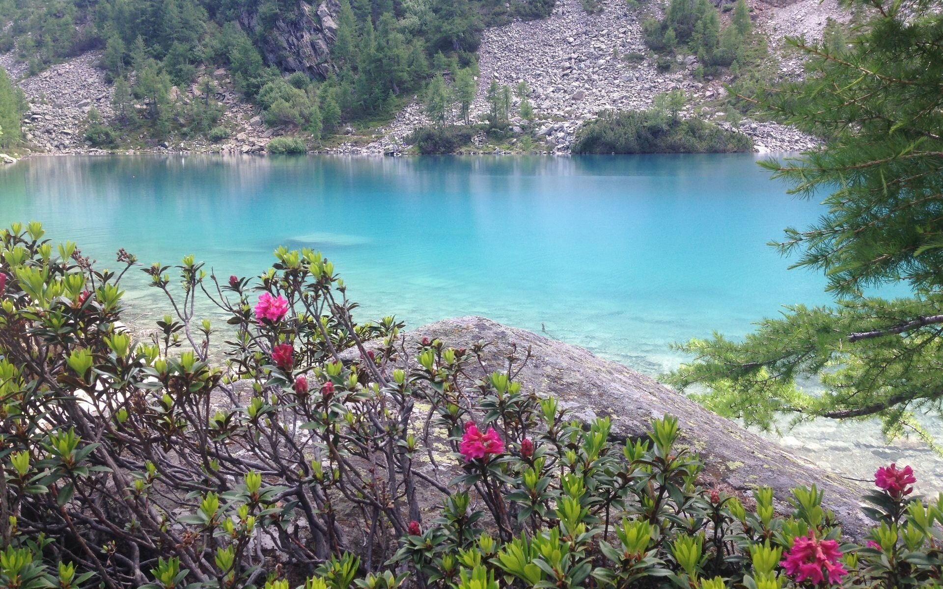 Img2 96364816 Default Variant