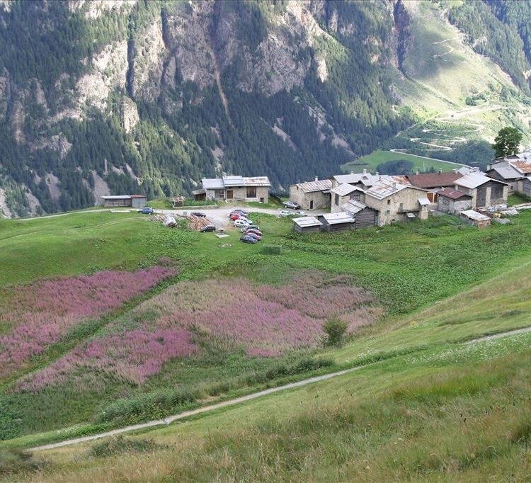 Campaccio-See