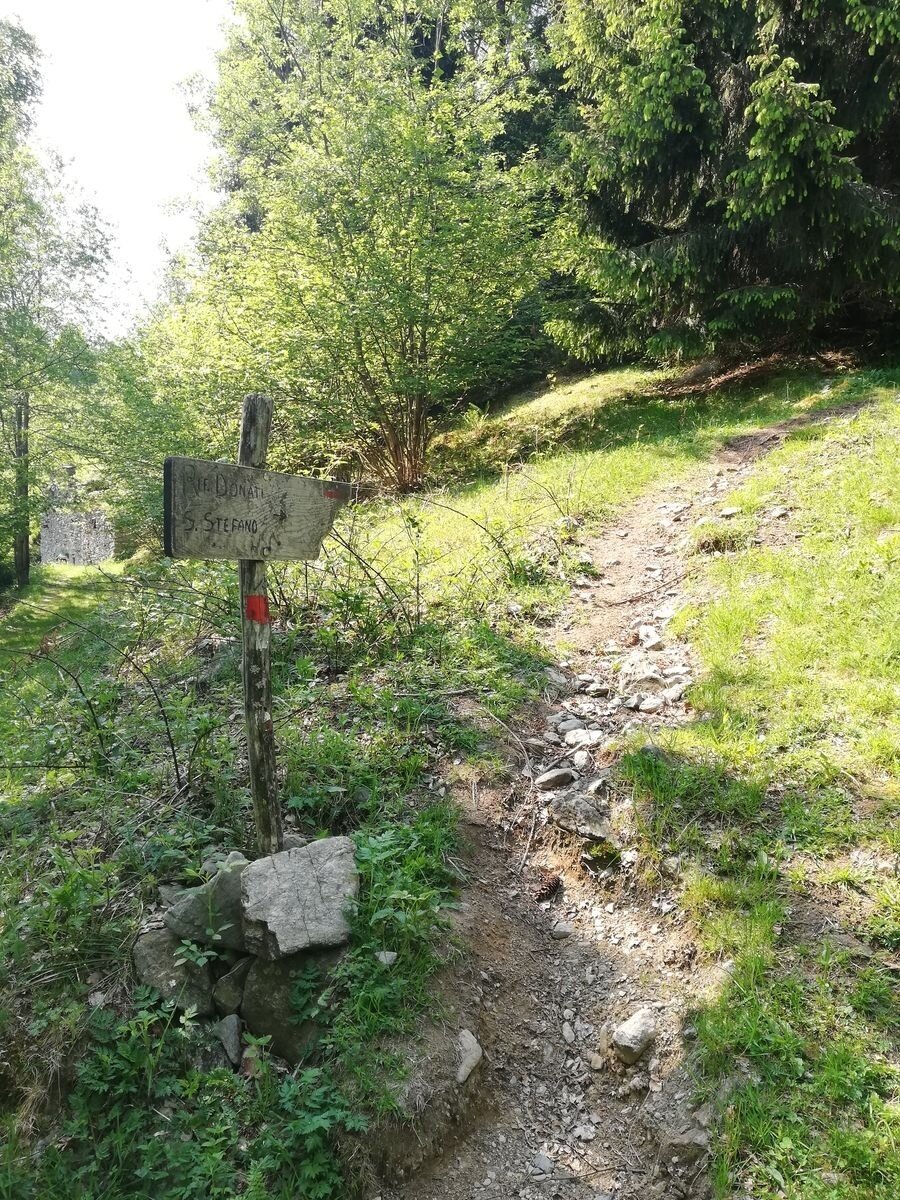 Img2 96364073 Default Variant