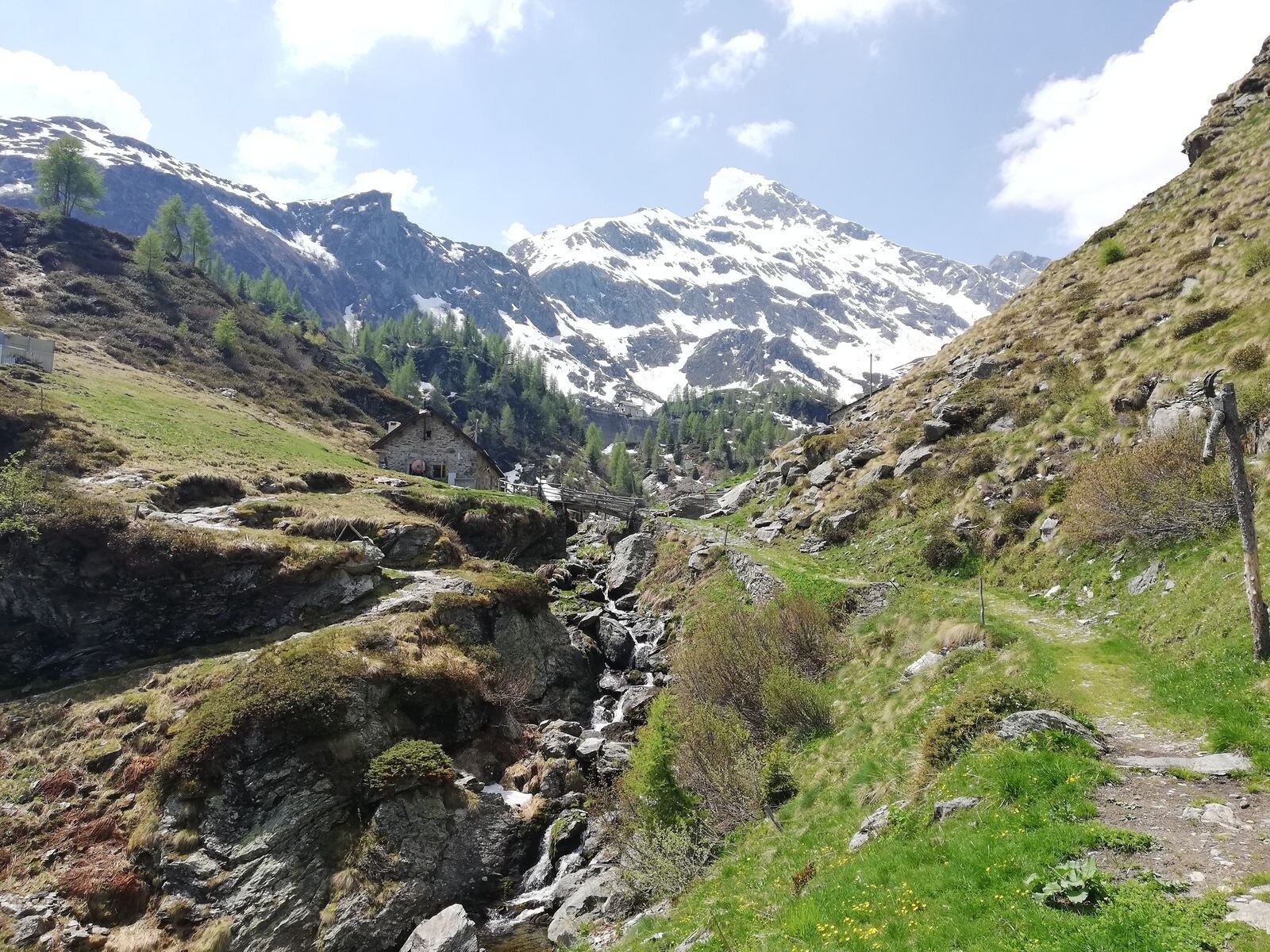 Img2 96364076 Default Variant