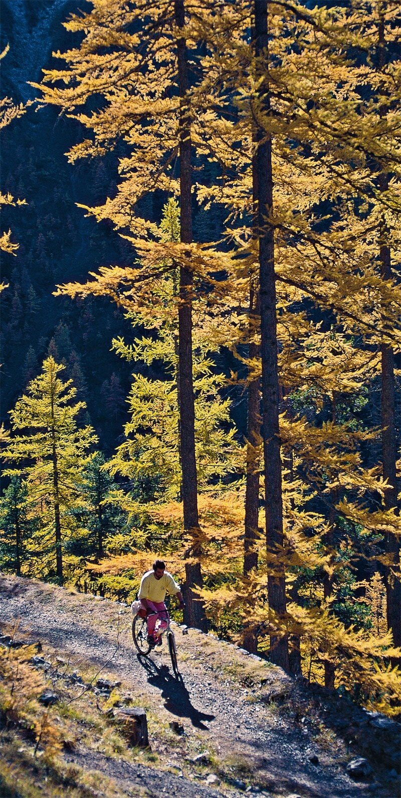 Fine anni ‘80. Discesa tranquilla nel bosco.
