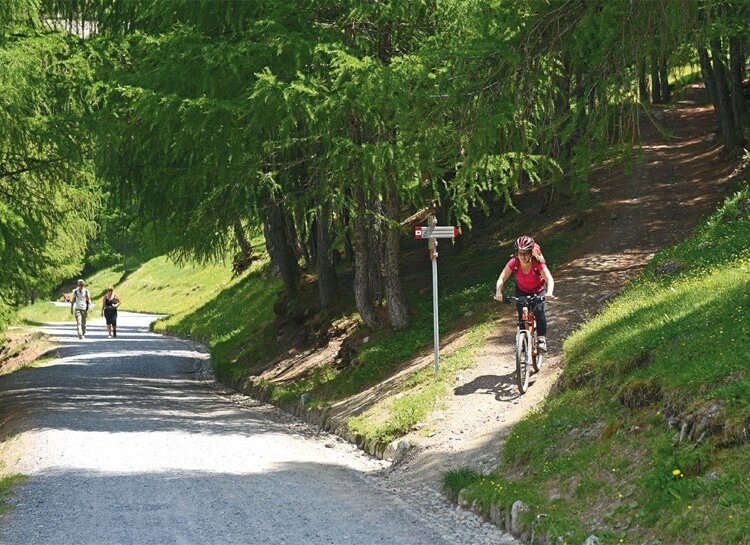 Arrival from the Torto path.