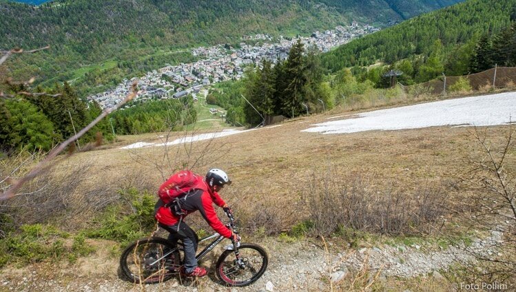 Magnolta Trail n. B326