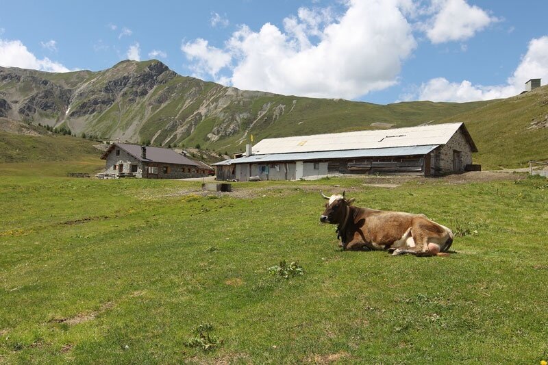 La malga di San Colombano
