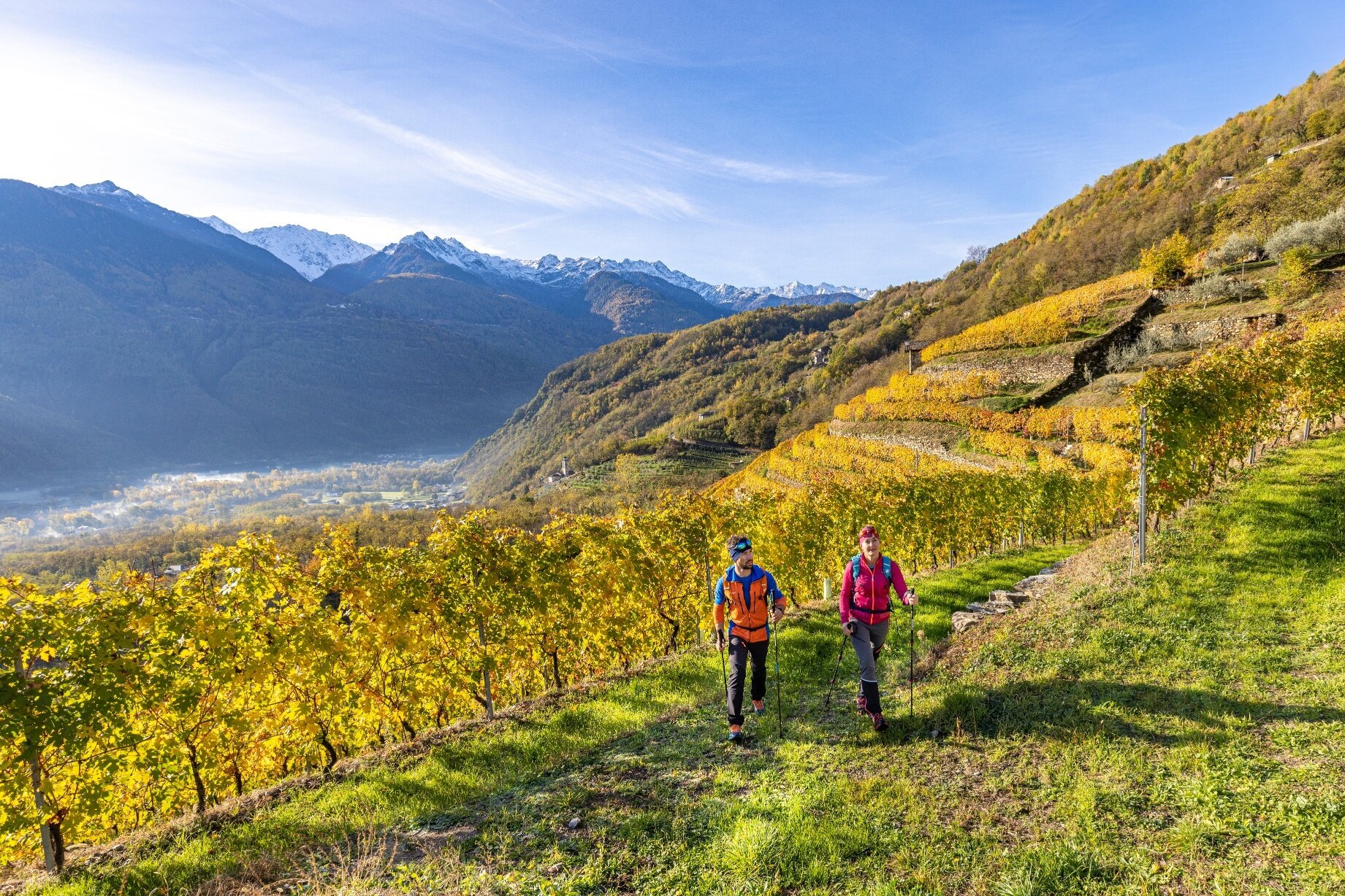 Img2 618883601 Default Variant