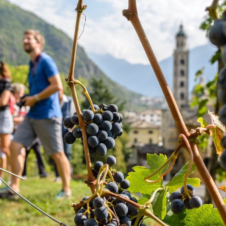 Marian Path of the Alps Western Route - Stage Teglio Tirano