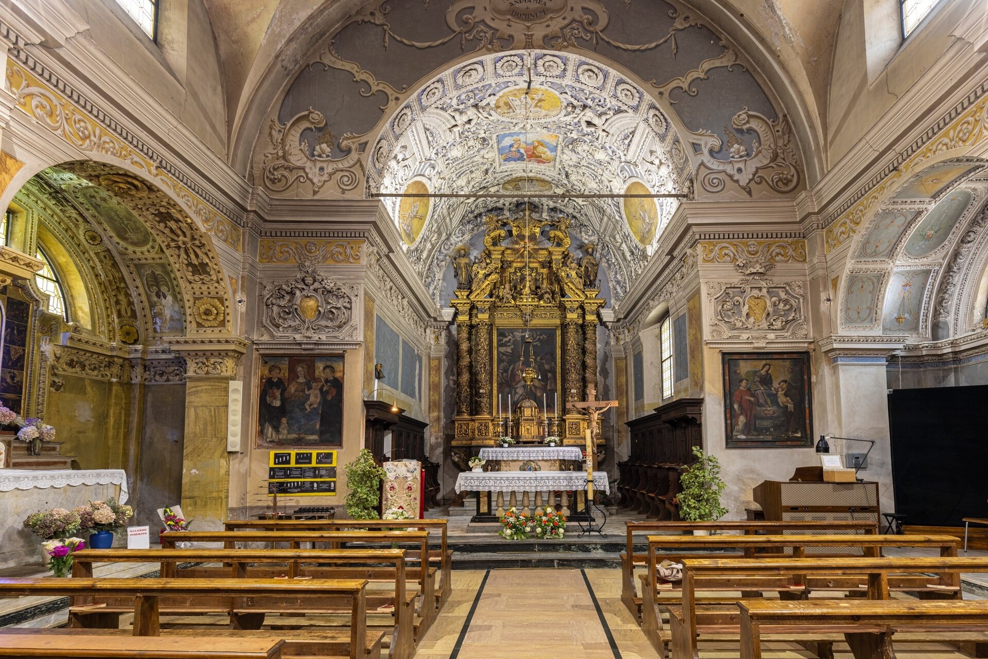 Img2 611677685 Default Variant