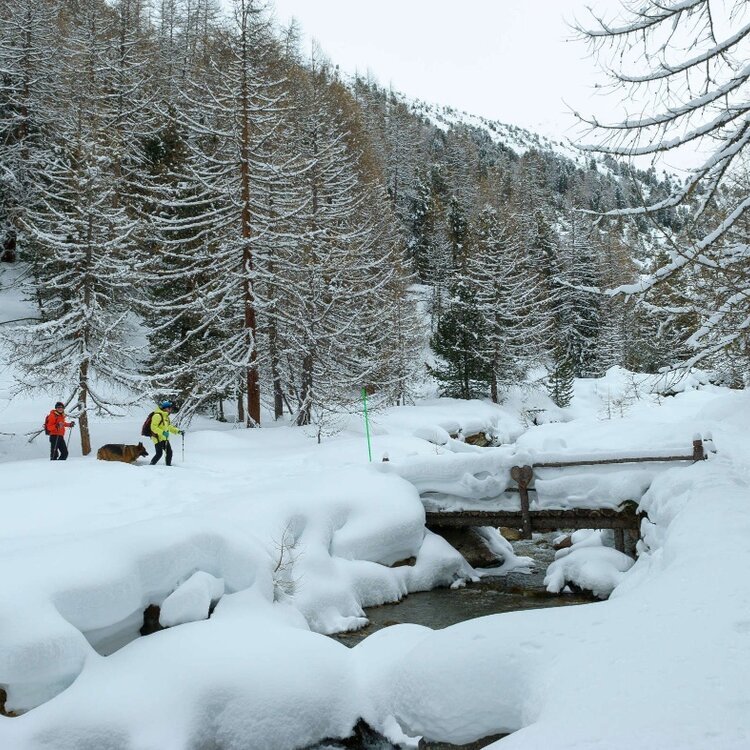 Mine_ percorso gestito