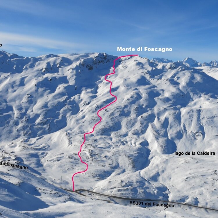 Monte Di Foscagno 804595793