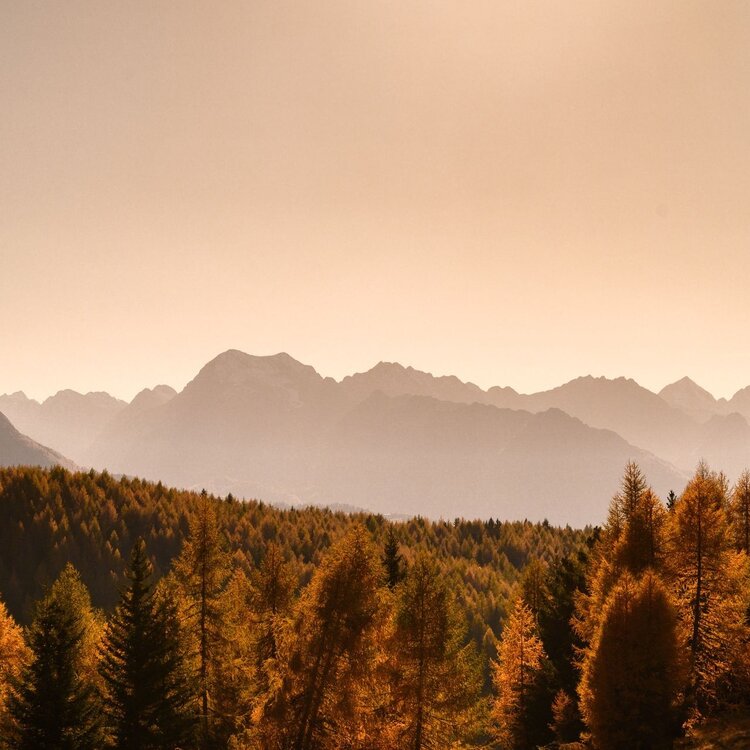 Monte Padrio