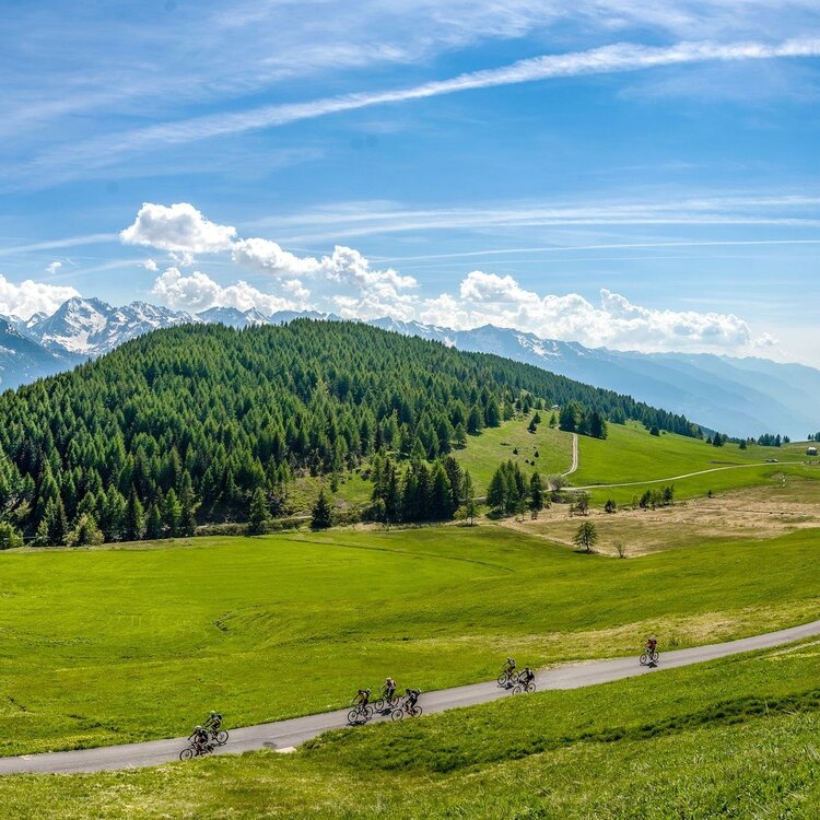 Mortirolo Pass (from Aprica - Pian di Gembro - Trivigno)