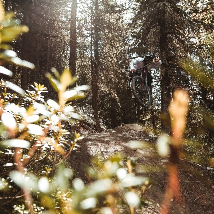 Wild Sheep Mottolino Bikepark