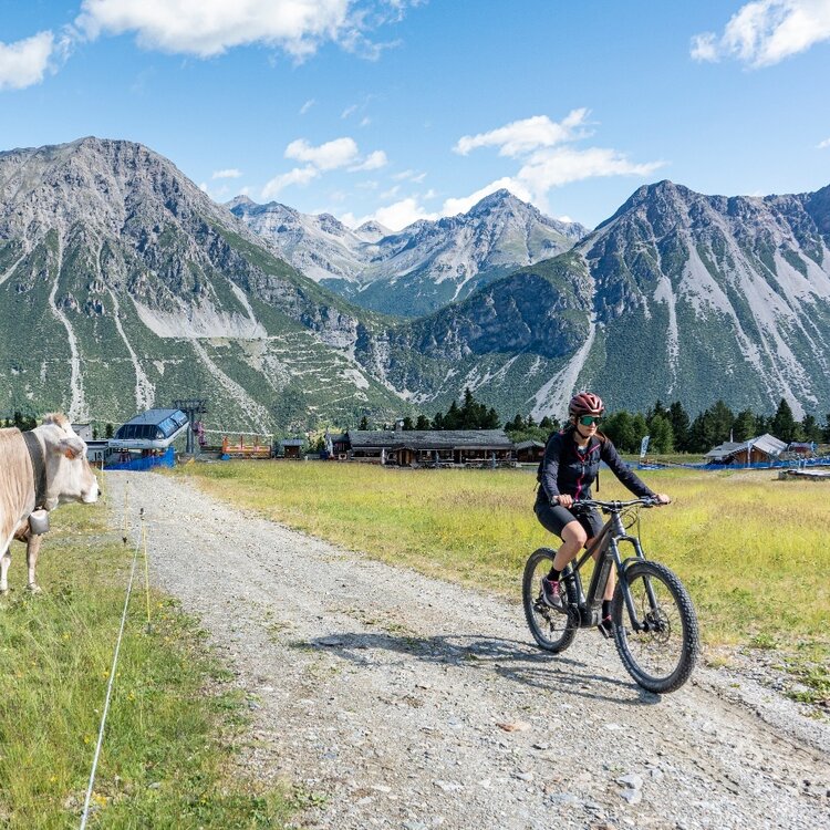 Mountain Bike: Conca Bianca - Fochin