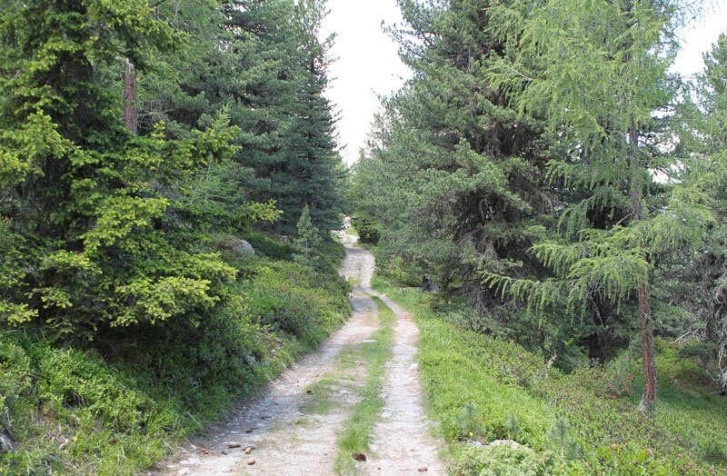Road from Sobretta to 2000