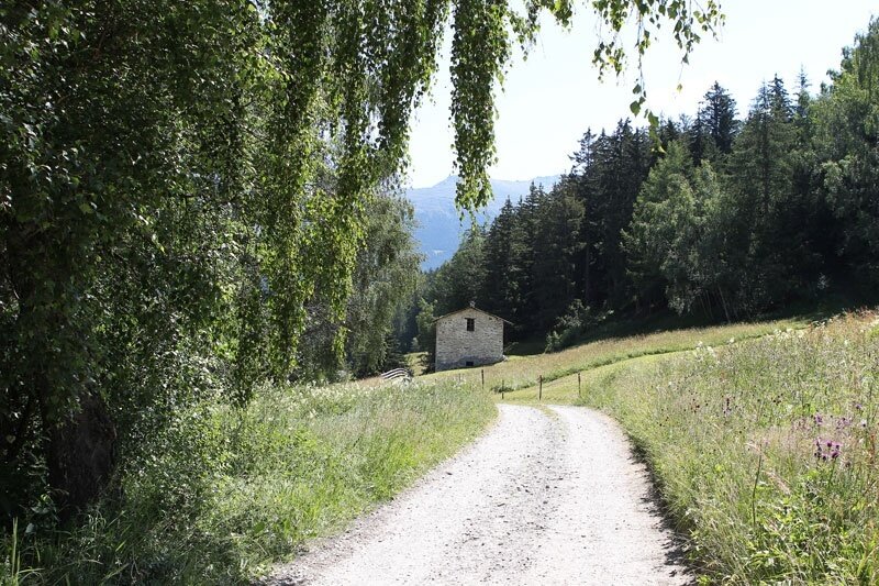 Campolungo Street