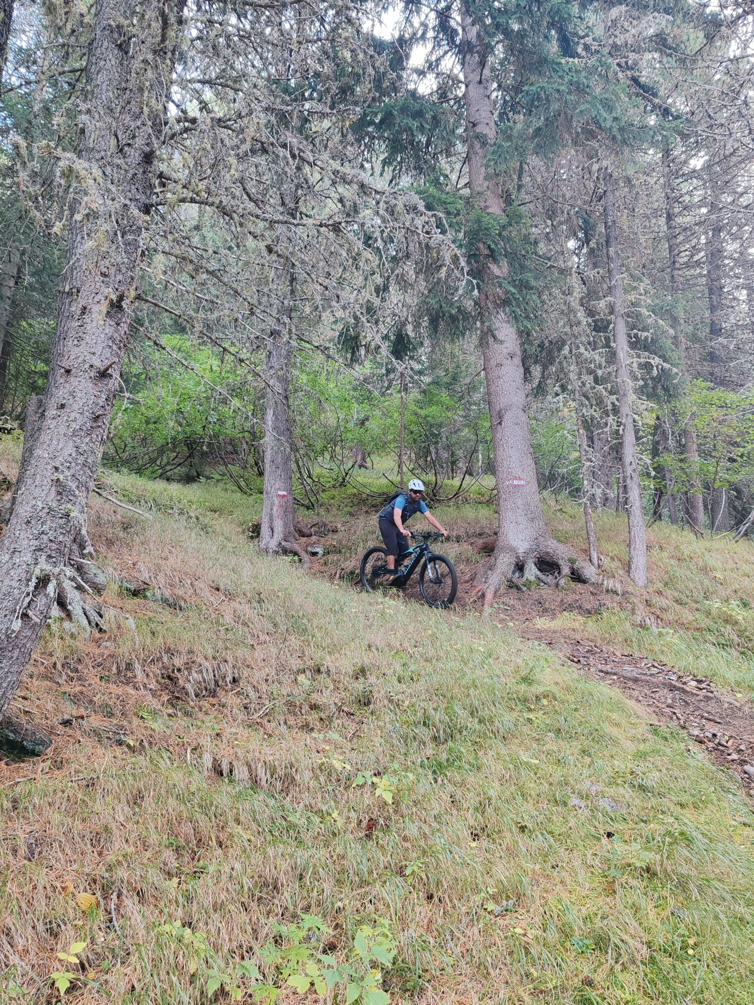 Img2 620192057 Default Variant