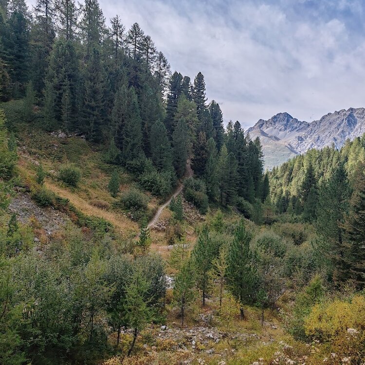 MTB: San Colombano - Happy Tour (Live)