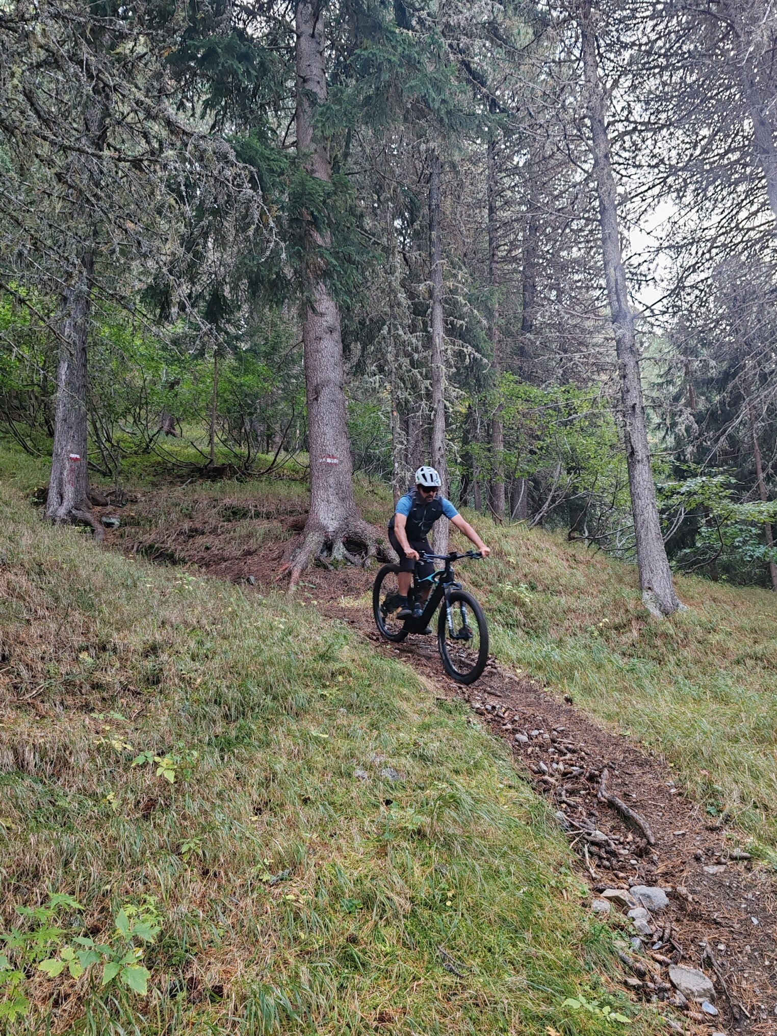 Img2 620192058 Default Variant