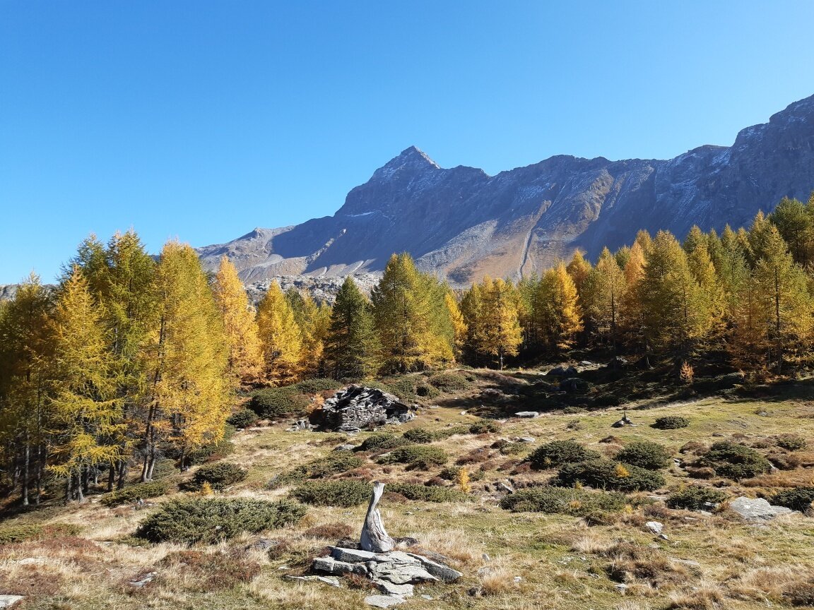 Img2 621123430 Default Variant