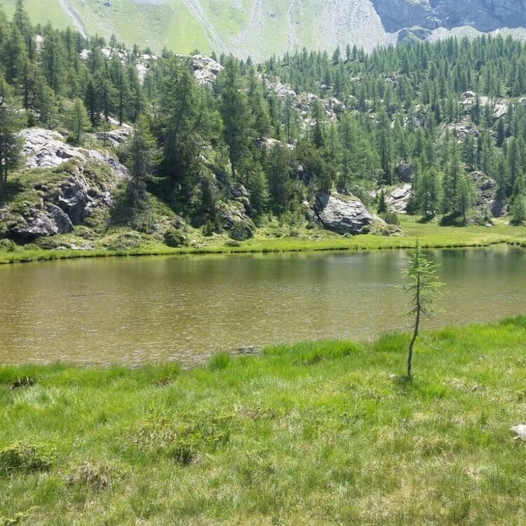 Mufule' Lake Ring