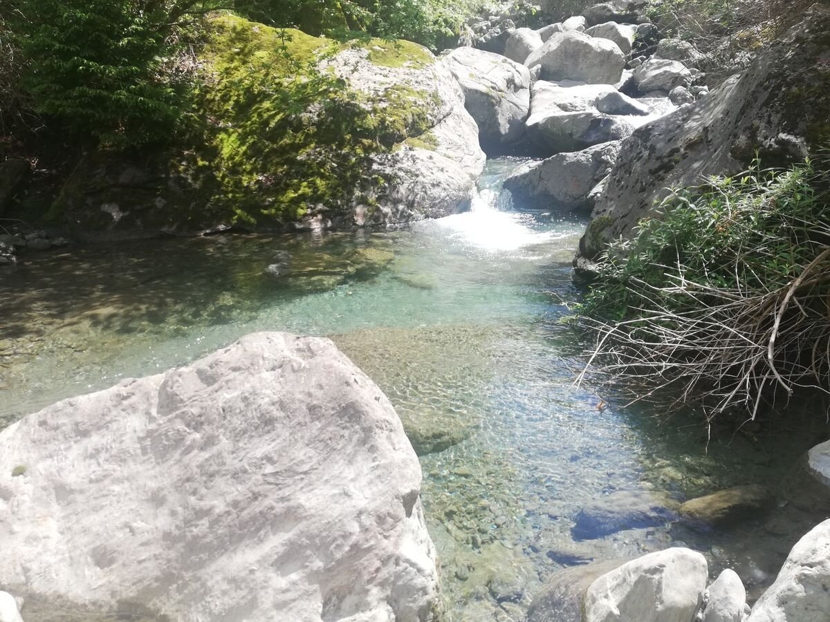 Img2 96364403 Default Variant