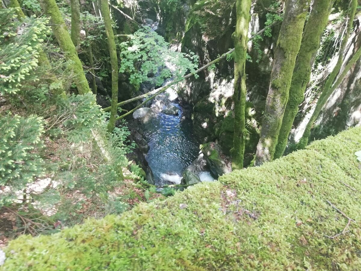 Img2 96364405 Default Variant