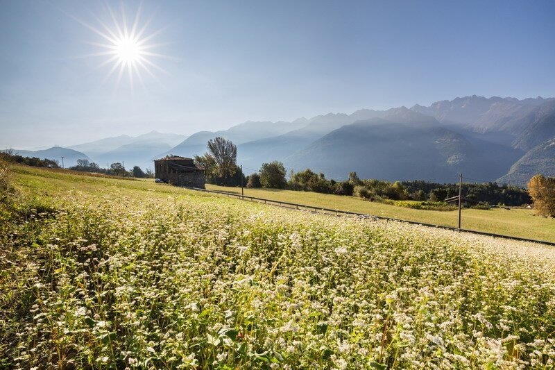Alpi Retiche Teglio