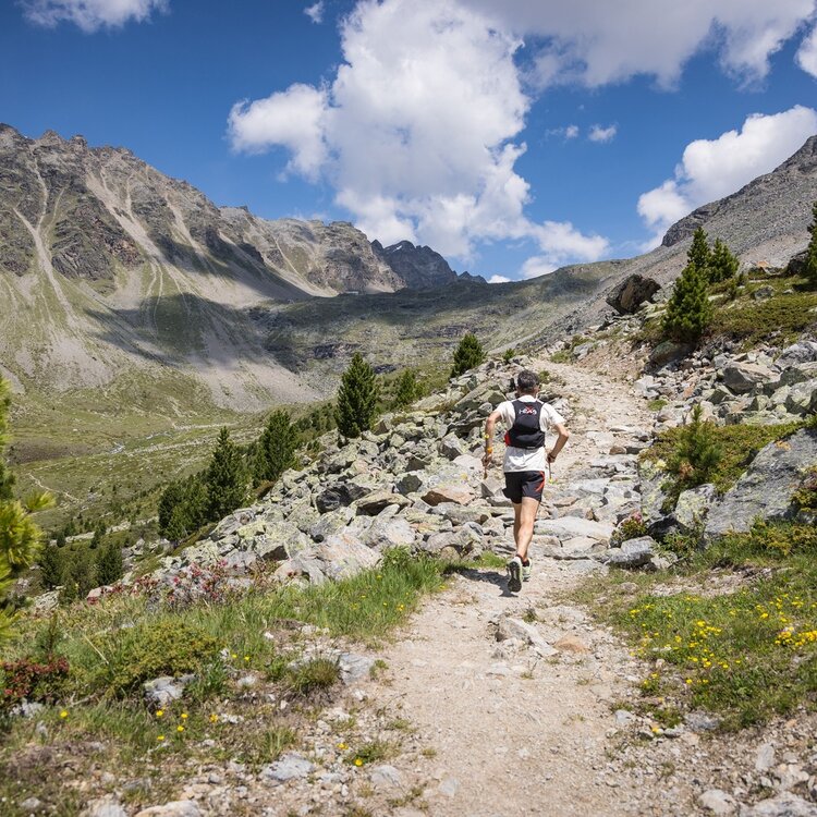 Ortles Haute Route - Raethia Trail