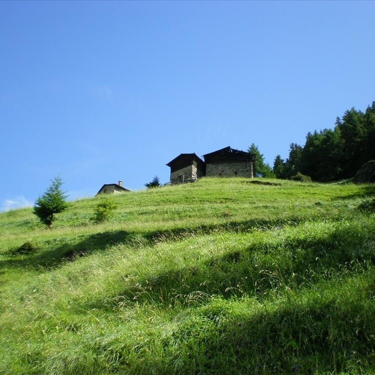 Oultoir