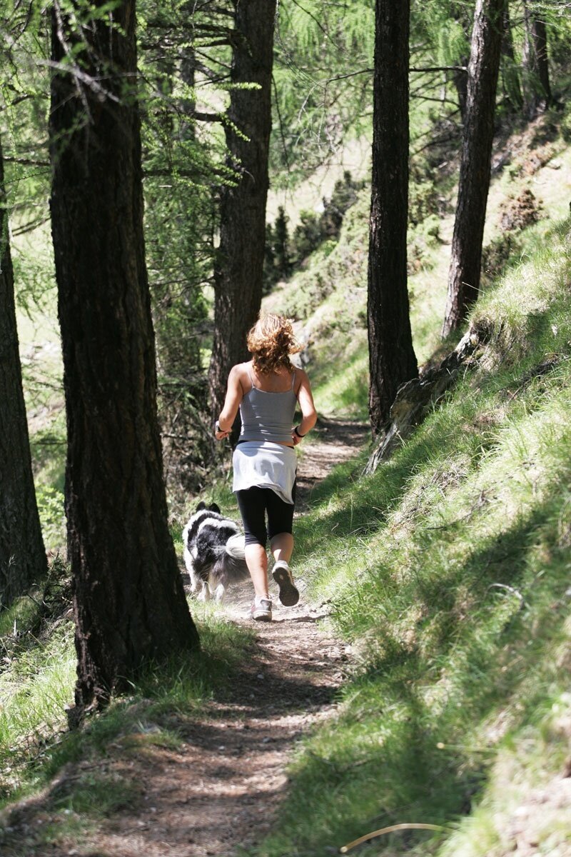 Running along the path in the forest Suena
