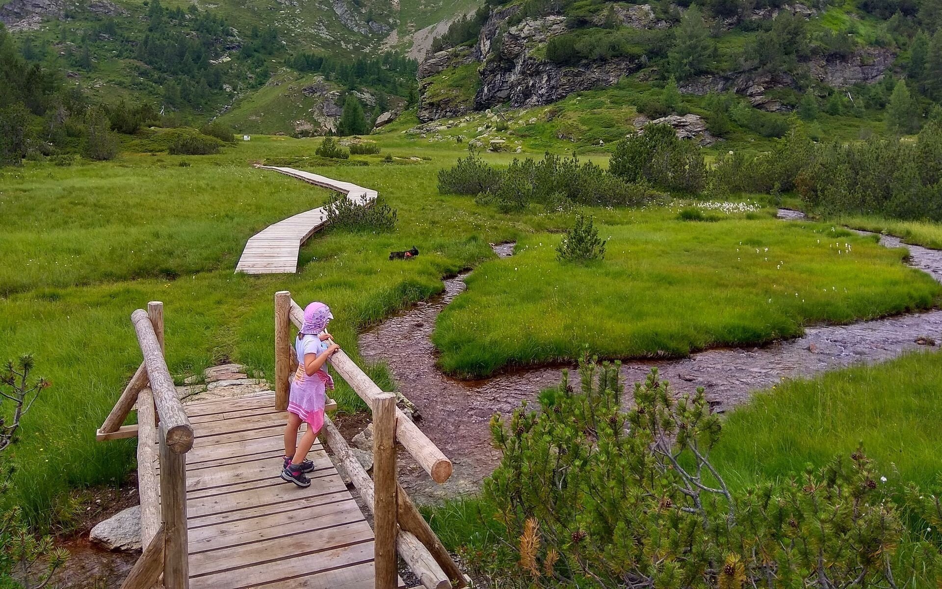 Suggestive little bridge over the peat bog