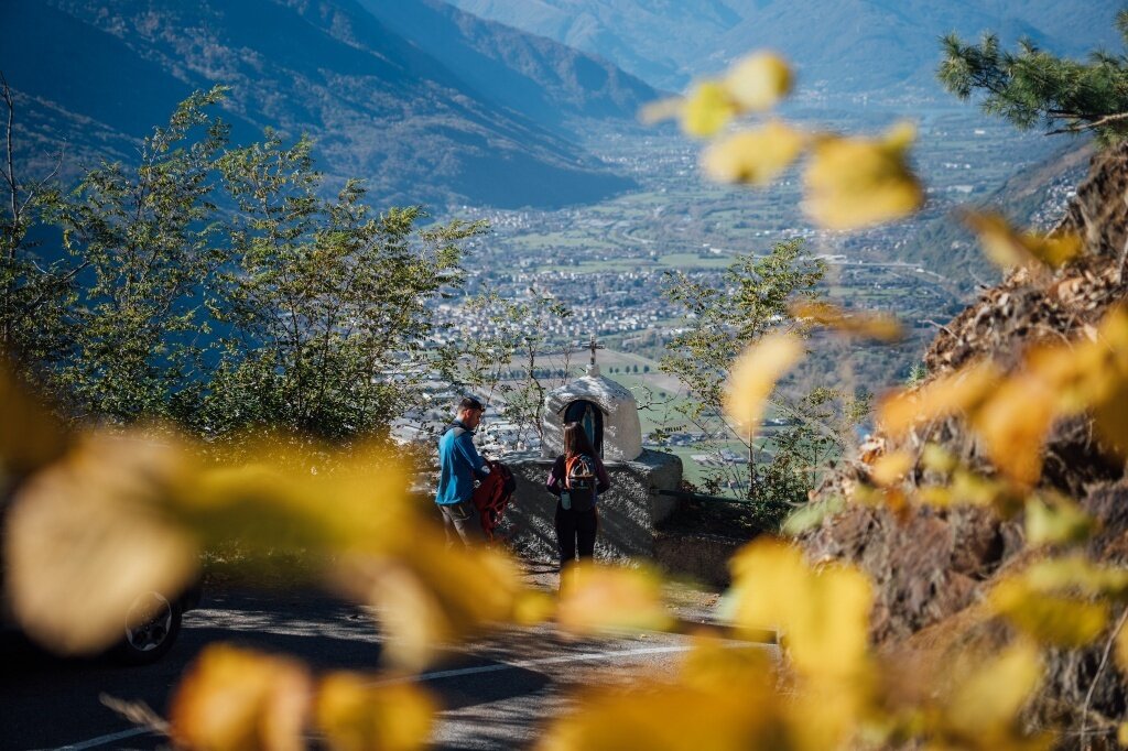 Img2 621451987 Default Variant