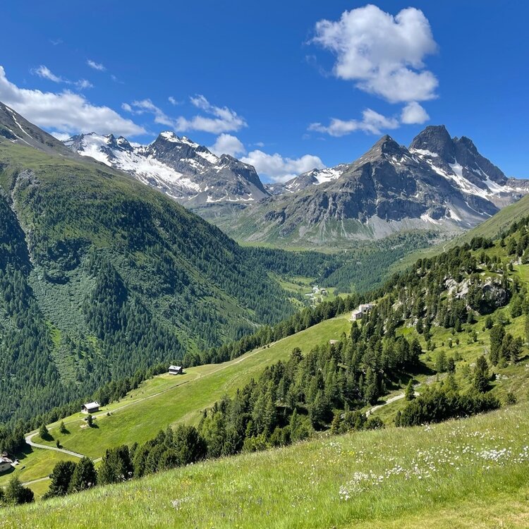 Panoramica Sulla Val Viola 804595666