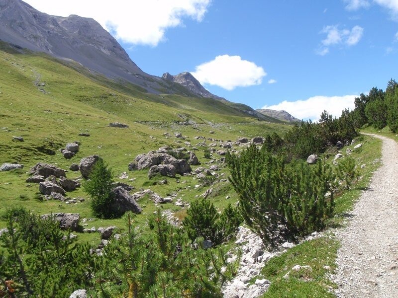 The Alpisella Pass
