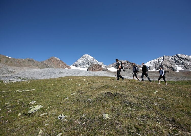 Passo Zebru