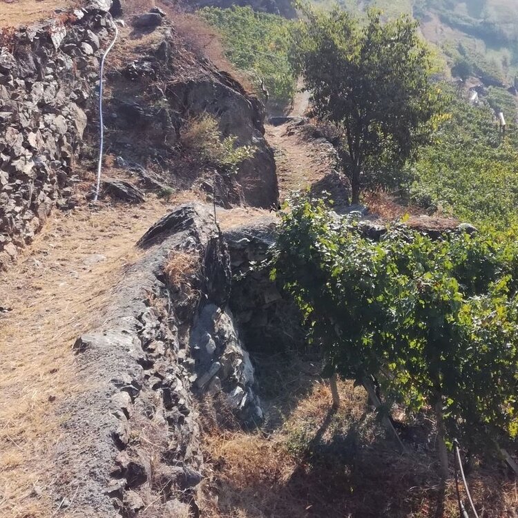 Sentiero dei Ricordi e delle Fatiche