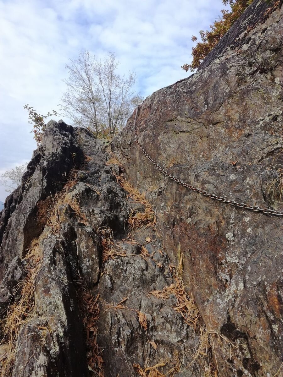 Img2 96364055 Default Variant