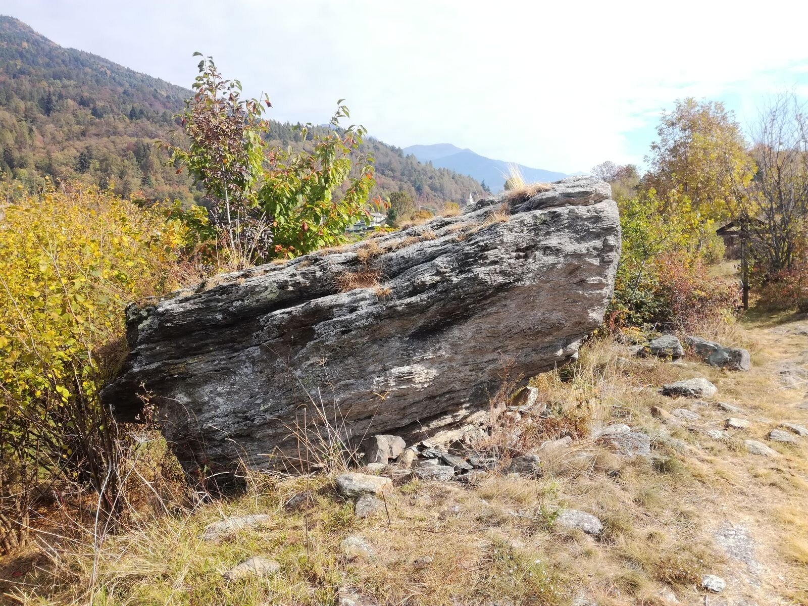 Img2 96364056 Default Variant