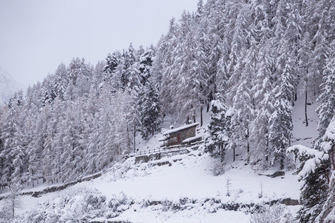 Img2 605477064 Default Variant