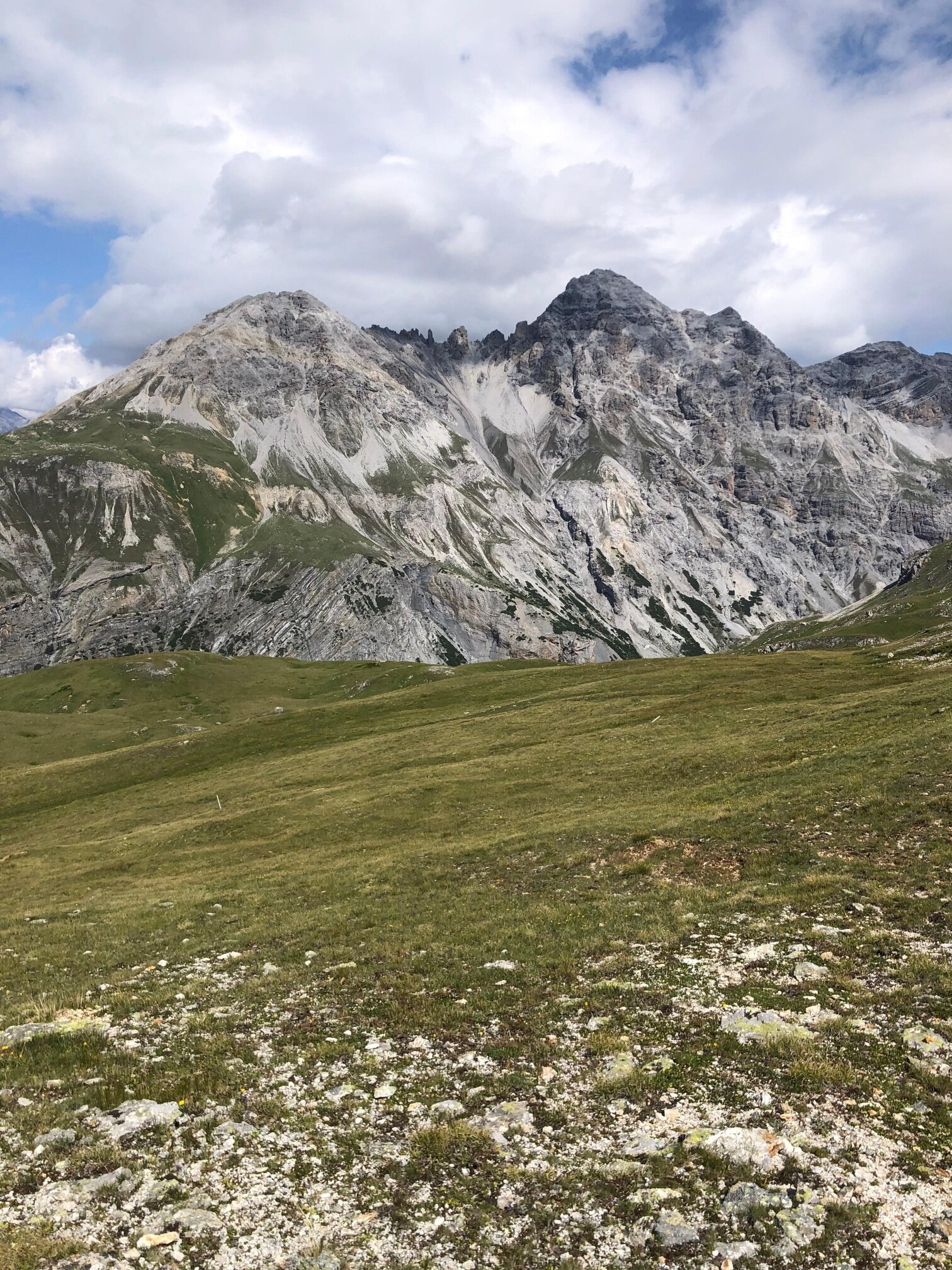 I pascoli di Pedenolo e i monti Solena e Schumbraida