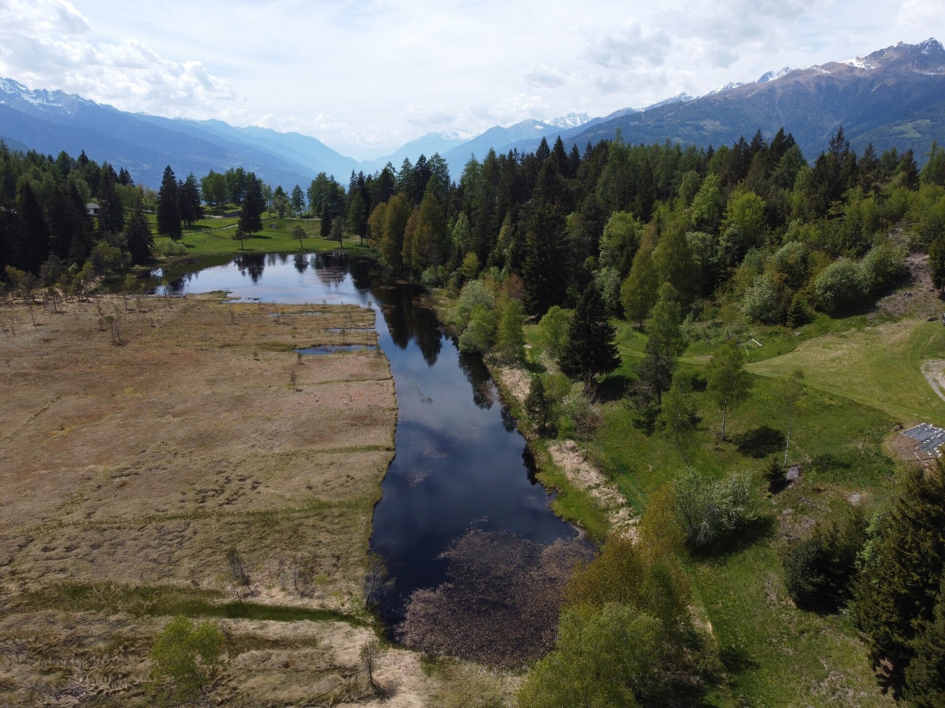 Img2 620566297 Default Variant