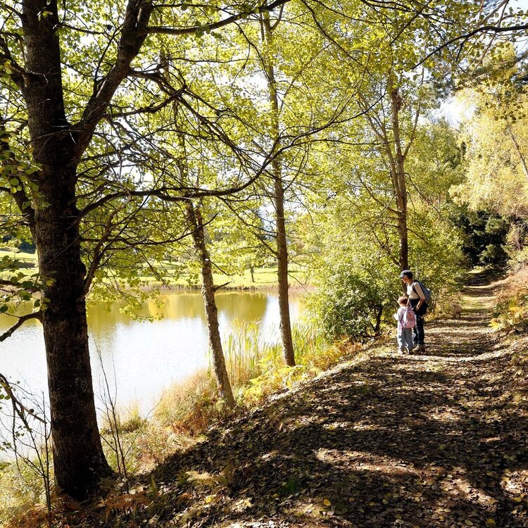 Pian di Gembro Nature Reserve loop (1350 m)