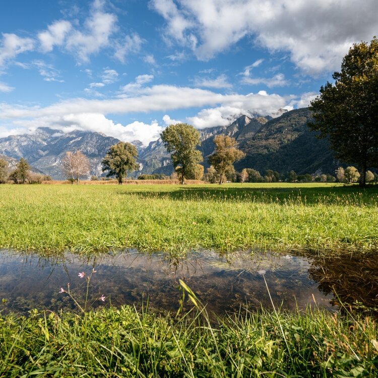 Pian di Spagna and Lake Mezzola Nature Reserve